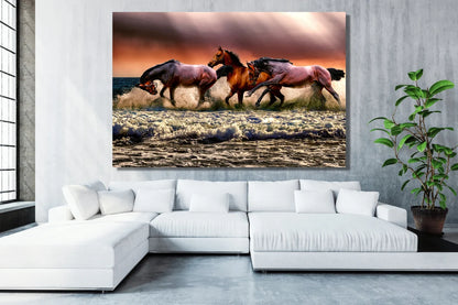 Horses In Ocean Acrylic Glass Print Tempered Glass Wall Art 100% Made in Australia Ready to Hang