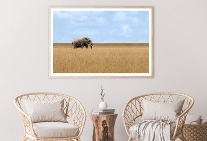 Elephant Walking Through Tall Grass in a Field Home Decor Premium Quality Poster Print Choose Your Sizes