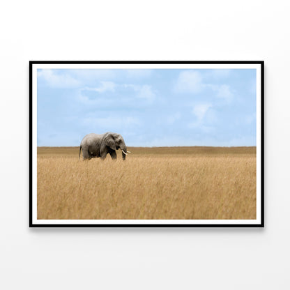 Elephant Walking Through Tall Grass in a Field Home Decor Premium Quality Poster Print Choose Your Sizes