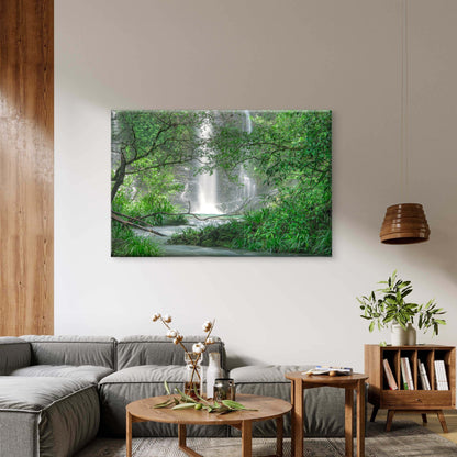 Cassowary Falls in the Daintree Queensland Australia Wall Art Decor 100% Australian Made