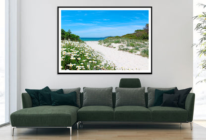 Pathway through the Sand Dunes Sardinia Home Decor Premium Quality Poster Print Choose Your Sizes