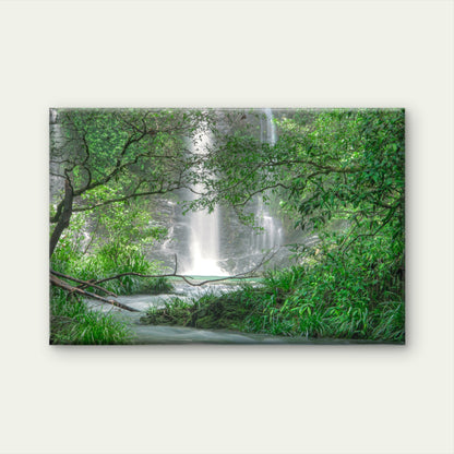Cassowary Falls in the Daintree Queensland Australia Wall Art Decor 100% Australian Made