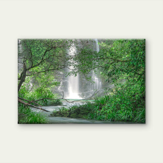 Cassowary Falls in the Daintree Queensland Australia Wall Art Decor 100% Australian Made