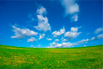 Grassland and Blue Sky Home Decor Premium Quality Poster Print Choose Your Sizes