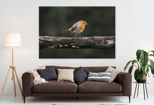 Red Robin in Spring Garden Wall Art Decor 100% Australian Made