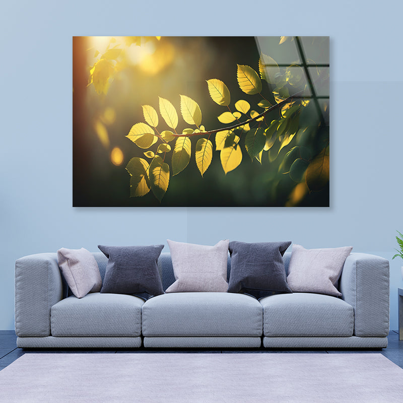 Morning Sunshine, Branch and Leaf Acrylic Glass Print Tempered Glass Wall Art 100% Made in Australia Ready to Hang