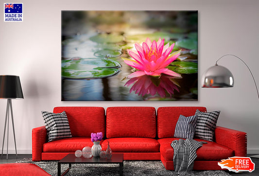 Pink Lotus Flower On Lake & Nature Wall Art Decor 100% Australian Made