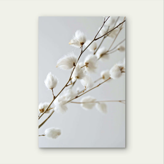 White Cotton Flower Branch Minimalist 40x60cm Metal Print Ready to Hang