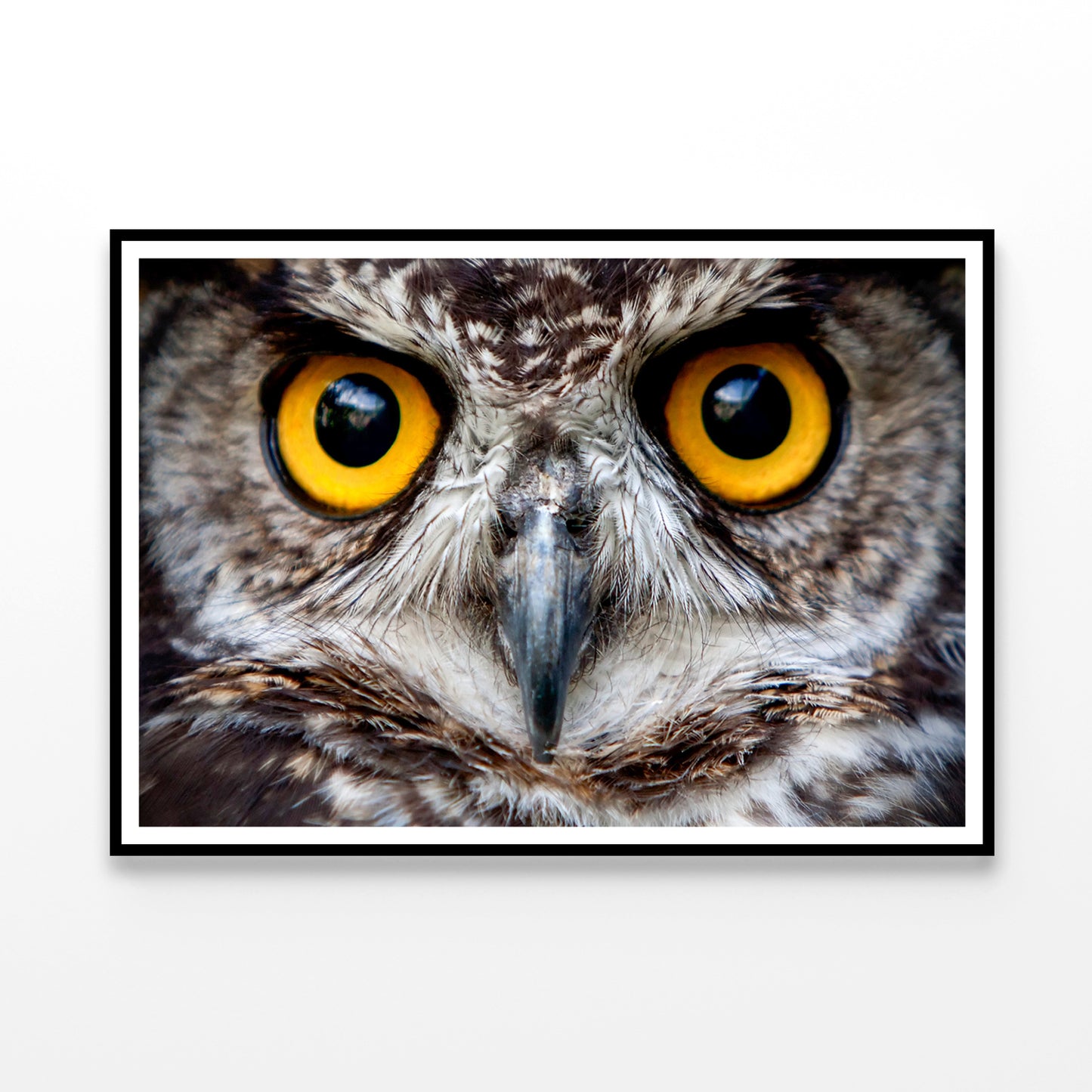 Close-Up of an Owl's Eyes Home Decor Premium Quality Poster Print Choose Your Sizes