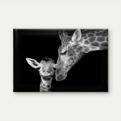 Mother and Baby Giraffe Africa Wall Art Decor 100% Australian Made