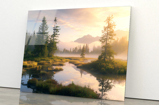 View at Heather Meadow with Mountains Acrylic Glass Print Tempered Glass Wall Art 100% Made in Australia Ready to Hang