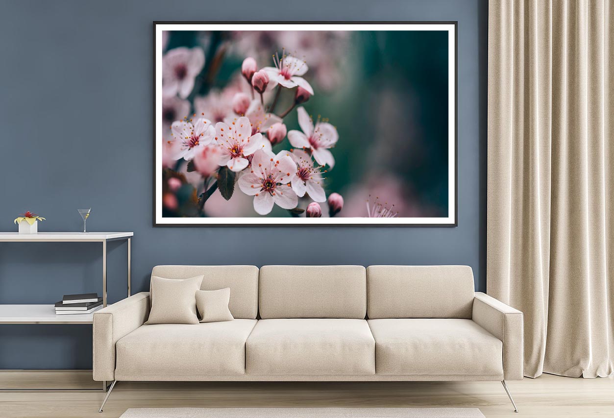 Closeup Of Spring Blossom Flower Home Decor Premium Quality Poster Print Choose Your Sizes