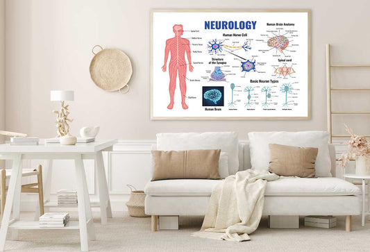 Neurology Parts of Human Body Home Decor Premium Quality Poster Print Choose Your Sizes