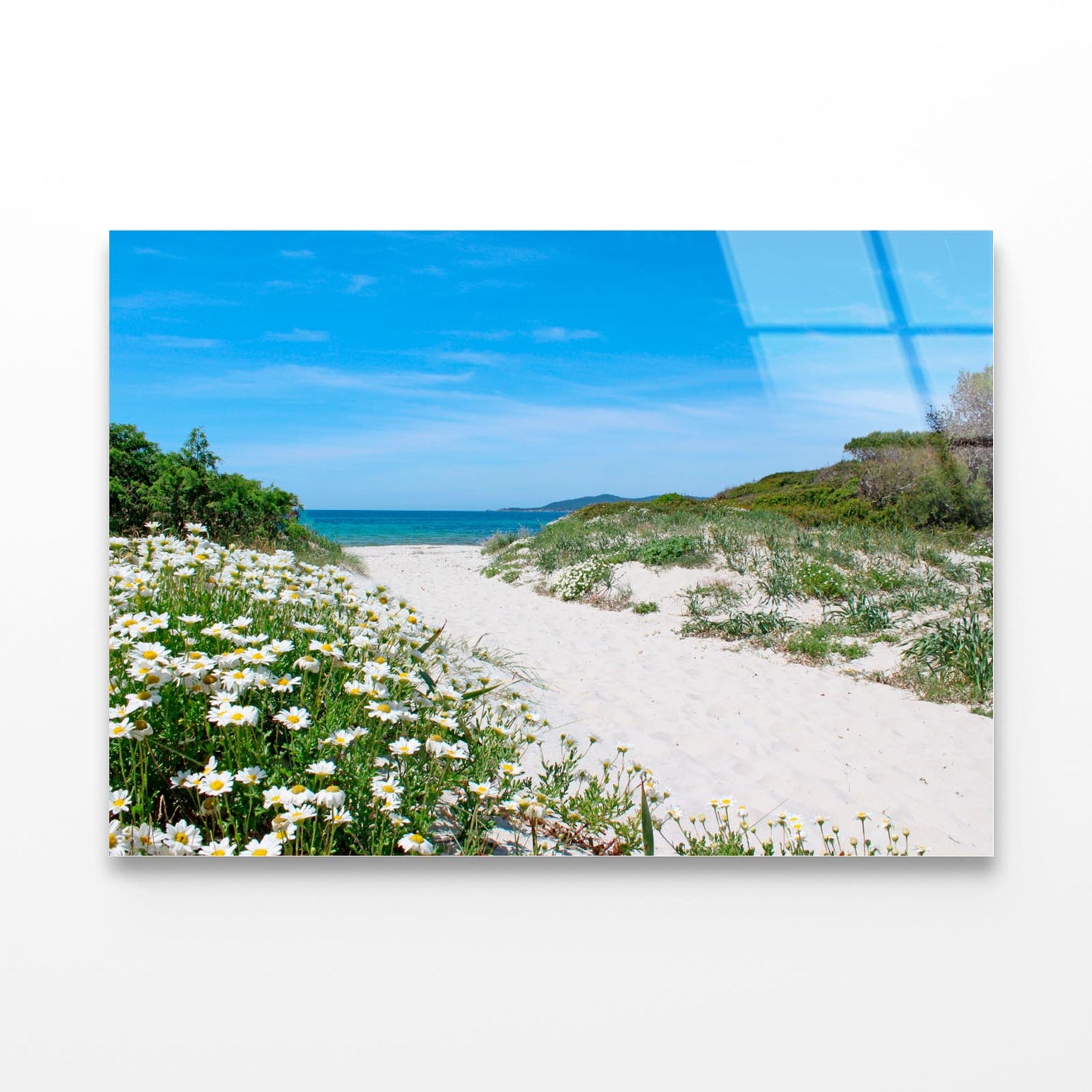 Pathway through the Sand Dunes Sardinia Acrylic Glass Print Tempered Glass Wall Art 100% Made in Australia Ready to Hang