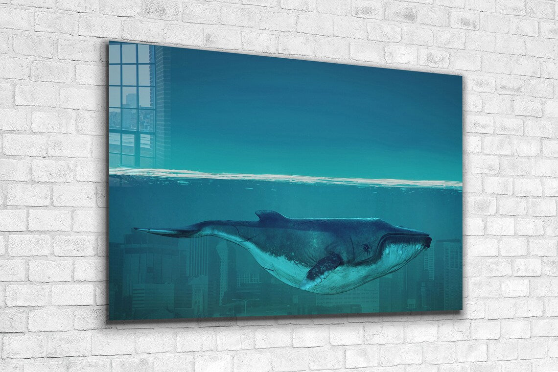 Whale Underwater View UV Direct Aluminum Print Australian Made Quality