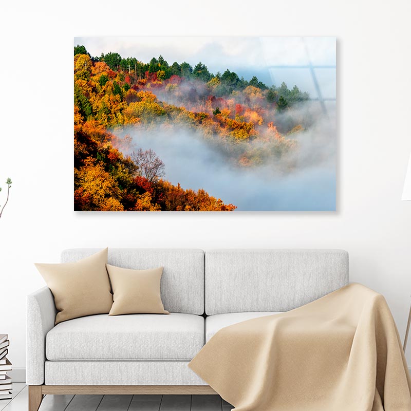 Gog & Forest Mist Acrylic Glass Print Tempered Glass Wall Art 100% Made in Australia Ready to Hang