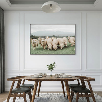 Neutral Toned Shaggy Sheep on Green Hill with Misty Mountains Wall Art Decor 100% Australian Made