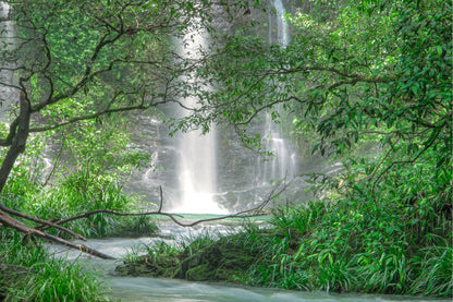 Cassowary Falls in the Daintree Queensland Australia Wall Art Decor 100% Australian Made