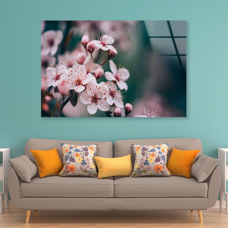 Closeup Of Spring Blossom Flower  Acrylic Glass Print Tempered Glass Wall Art 100% Made in Australia Ready to Hang