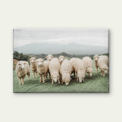 Neutral Toned Shaggy Sheep on Green Hill with Misty Mountains Wall Art Decor 100% Australian Made