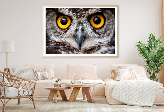 Close-Up of an Owl's Eyes Home Decor Premium Quality Poster Print Choose Your Sizes