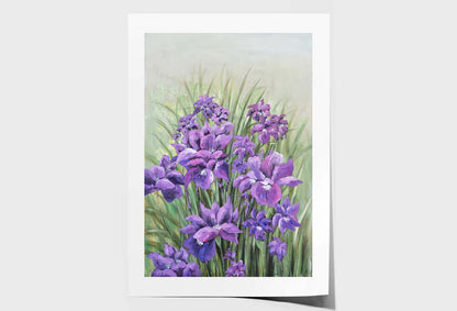 A Purple Flower, Painting Wall Art Limited Edition High Quality Print