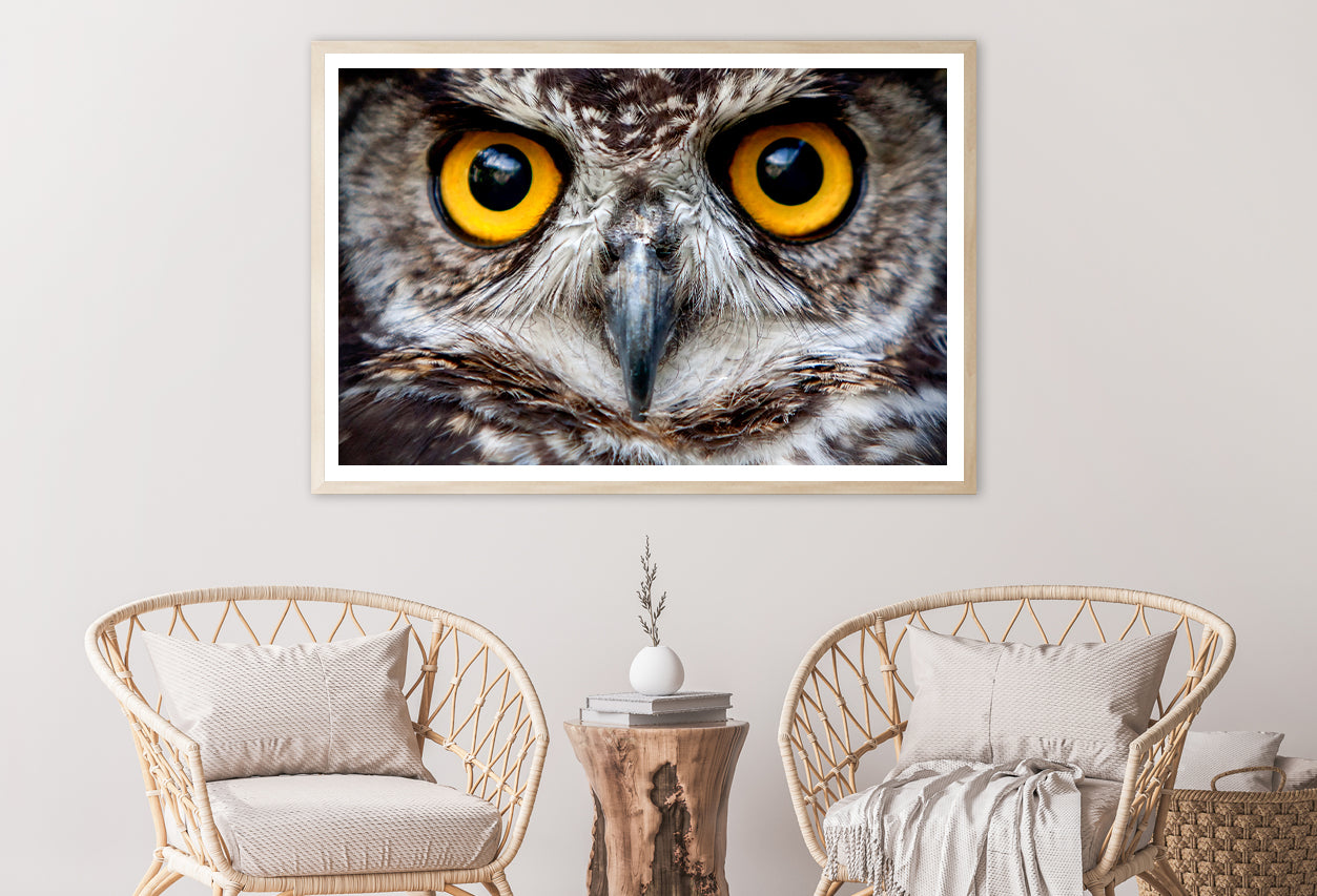 Close-Up of an Owl's Eyes Home Decor Premium Quality Poster Print Choose Your Sizes