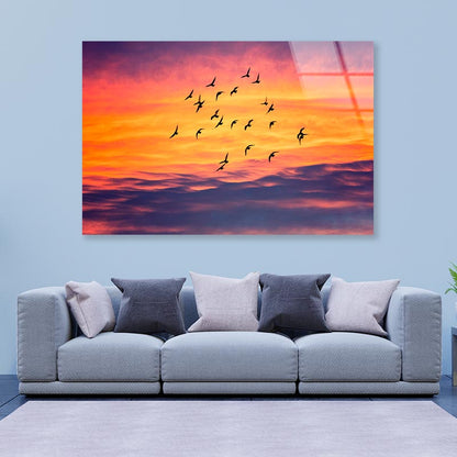 Birds Flying into Sunset Sky Acrylic Glass Print Tempered Glass Wall Art 100% Made in Australia Ready to Hang