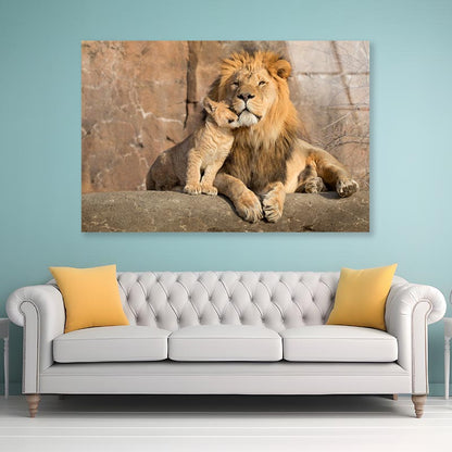 Male African Lion Is Cuddled by His Cub Acrylic Glass Print Tempered Glass Wall Art 100% Made in Australia Ready to Hang