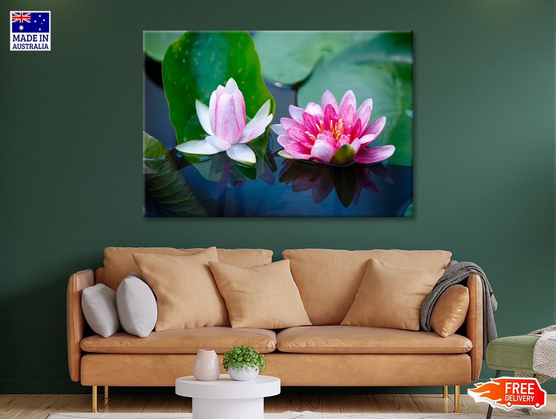 A Group of Pink Flowers Blooming On a Lily Pad Print 100% Australian Made