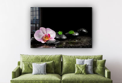 Zen Stones Pink Flower UV Direct Aluminum Print Australian Made Quality