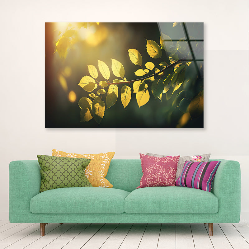 Morning Sunshine, Branch and Leaf Acrylic Glass Print Tempered Glass Wall Art 100% Made in Australia Ready to Hang