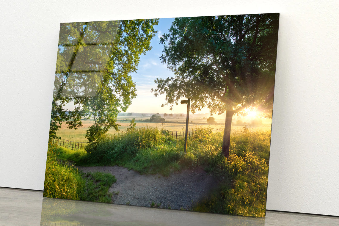 Footpath Sign In Rural Sunrise with Trees & Grass Acrylic Glass Print Tempered Glass Wall Art 100% Made in Australia Ready to Hang