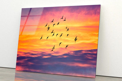 Birds Flying into Sunset Sky Acrylic Glass Print Tempered Glass Wall Art 100% Made in Australia Ready to Hang