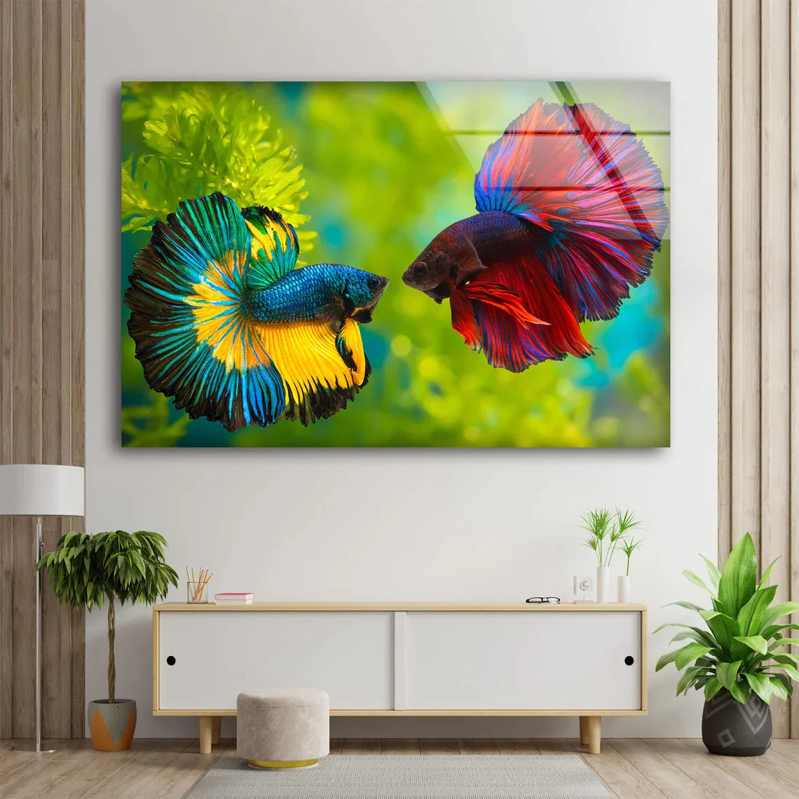 Blue Red Fighter Fish UV Direct Aluminum Print Australian Made Quality