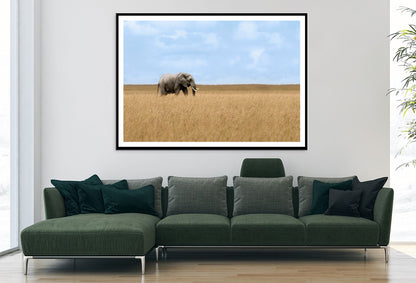 Elephant Walking Through Tall Grass in a Field Home Decor Premium Quality Poster Print Choose Your Sizes