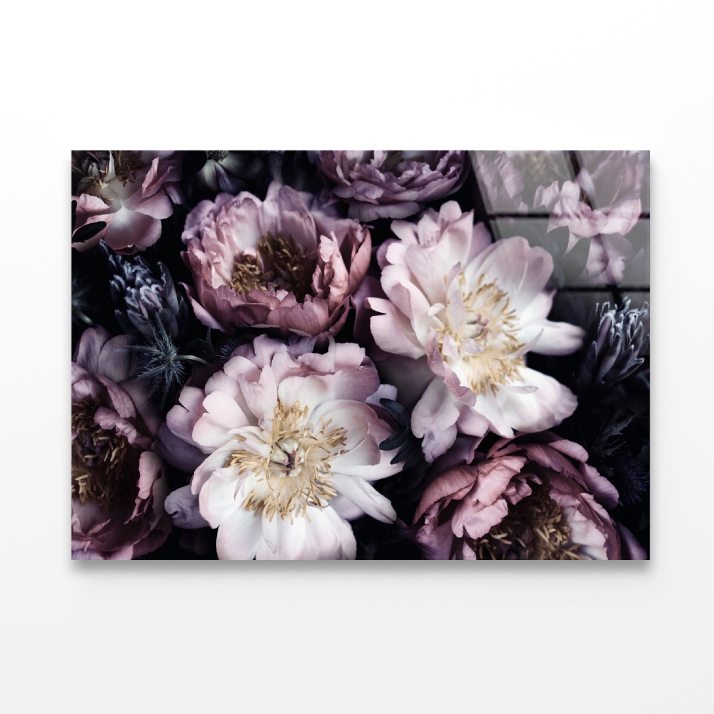 Group of Purple Flowers View Acrylic Glass Print Tempered Glass Wall Art 100% Made in Australia Ready to Hang