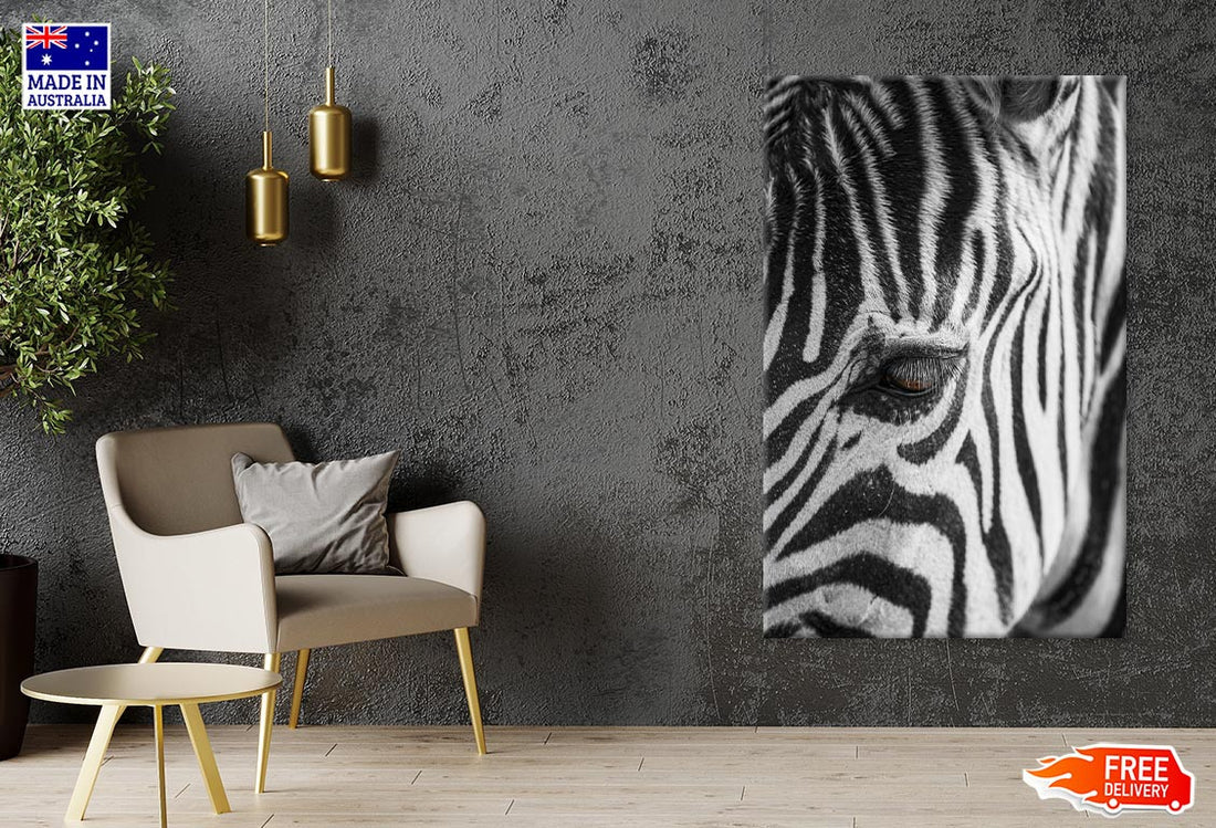 B&W Zebra Close Up Photograph  60x90cm Print 100% Australian Made