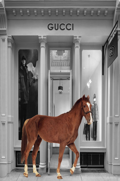 Store With Horse Design Home Decor Premium Quality Poster Print Choose Your Sizes