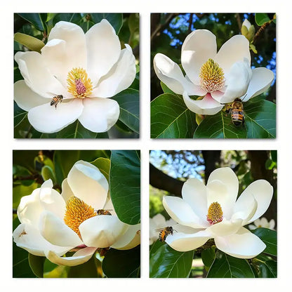 4pcs Magnolia Flowe Vintage Abstract  Wall Art Canvas Framed