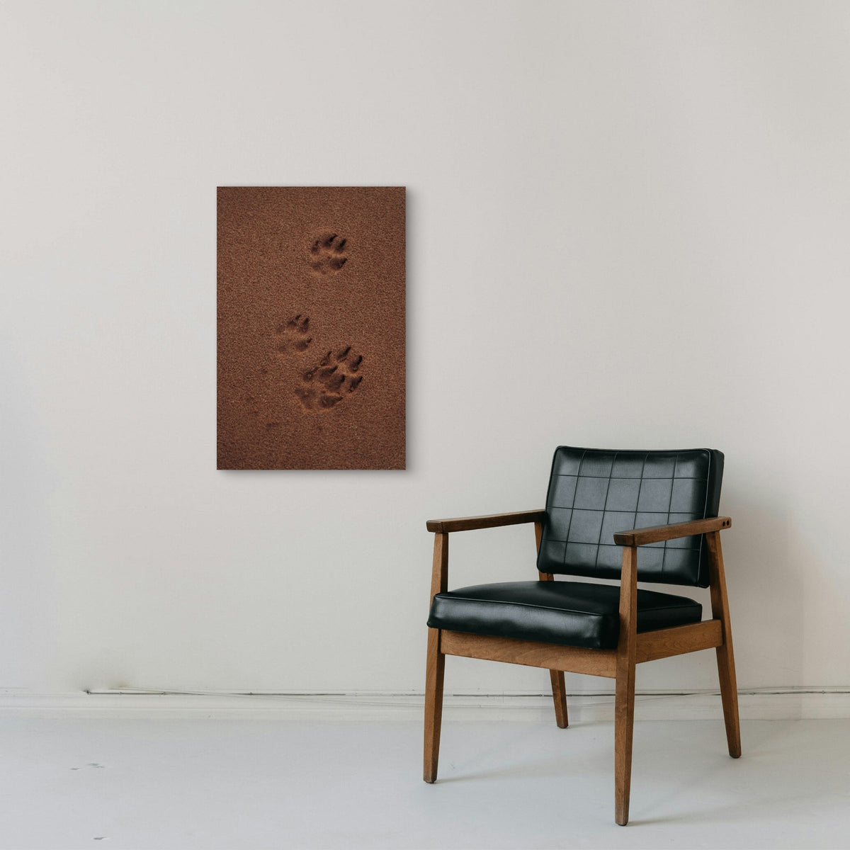 Animal Paws illustration 60x90cm Metal Print Ready to Hang