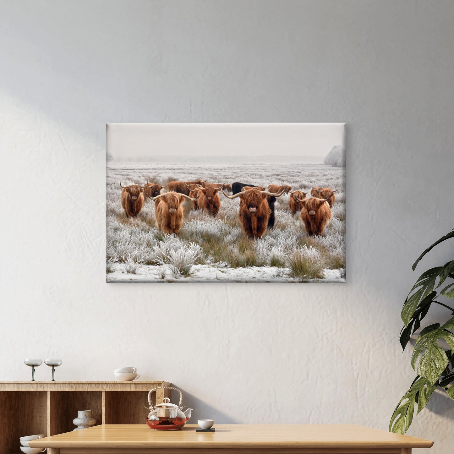 Highland Cow herd Photograph Print 100% Australian Made