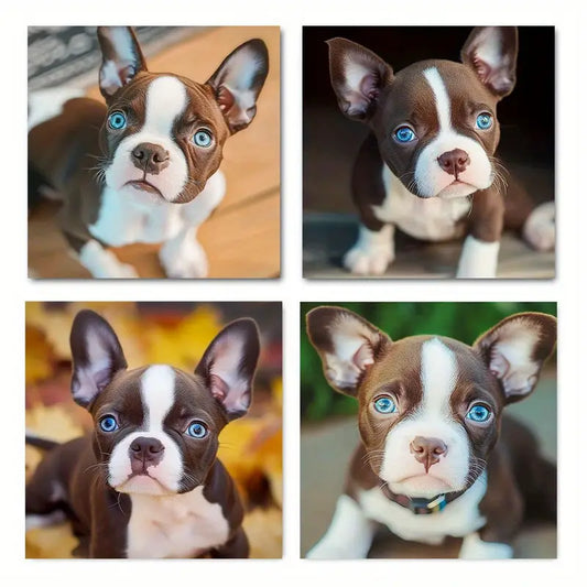 4pcs Boston Terrier Wall Art Canvas Framed
