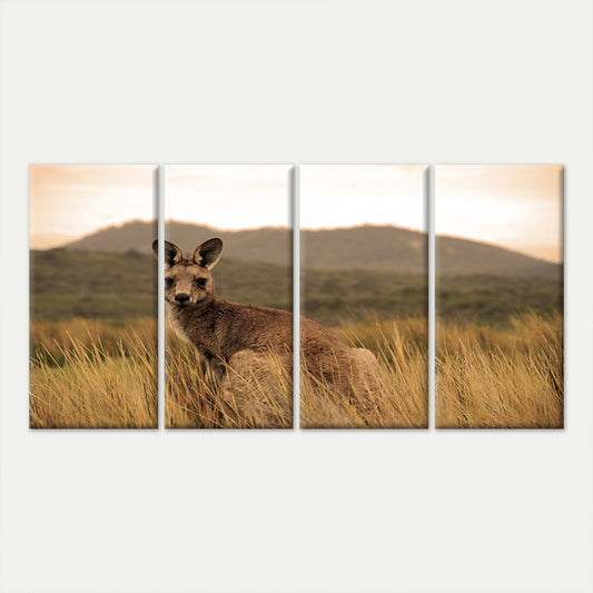 4pcs Australian Outback Kangaroo Wildlife Zoo Wall Art Canvas Framed 45x80cm - High Quality Print 100% Australian Made Wall Canvas Ready to Hang