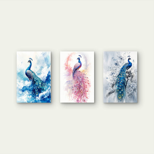 3pcs Watercolor Blue Pink Peacock Feather Birds Wall Art Set Canvas Framed 50x70cm - High Quality Print 100% Australian Made Wall Canvas Ready to Hang