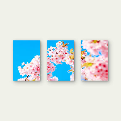 3pcs Japanese Pink Cherry Blossom Floral Wall Art Set Canvas Framed 40x60cm - High Quality Print 100% Australian Made Wall Canvas Ready to Hang