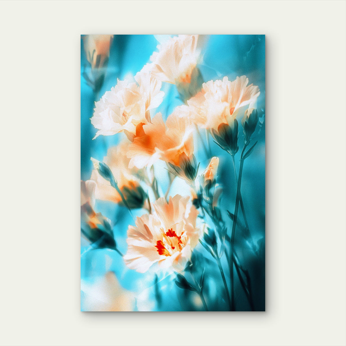 Peach Carnations on Dreamy Blue Background 60x90cm Metal Print Ready to Hang