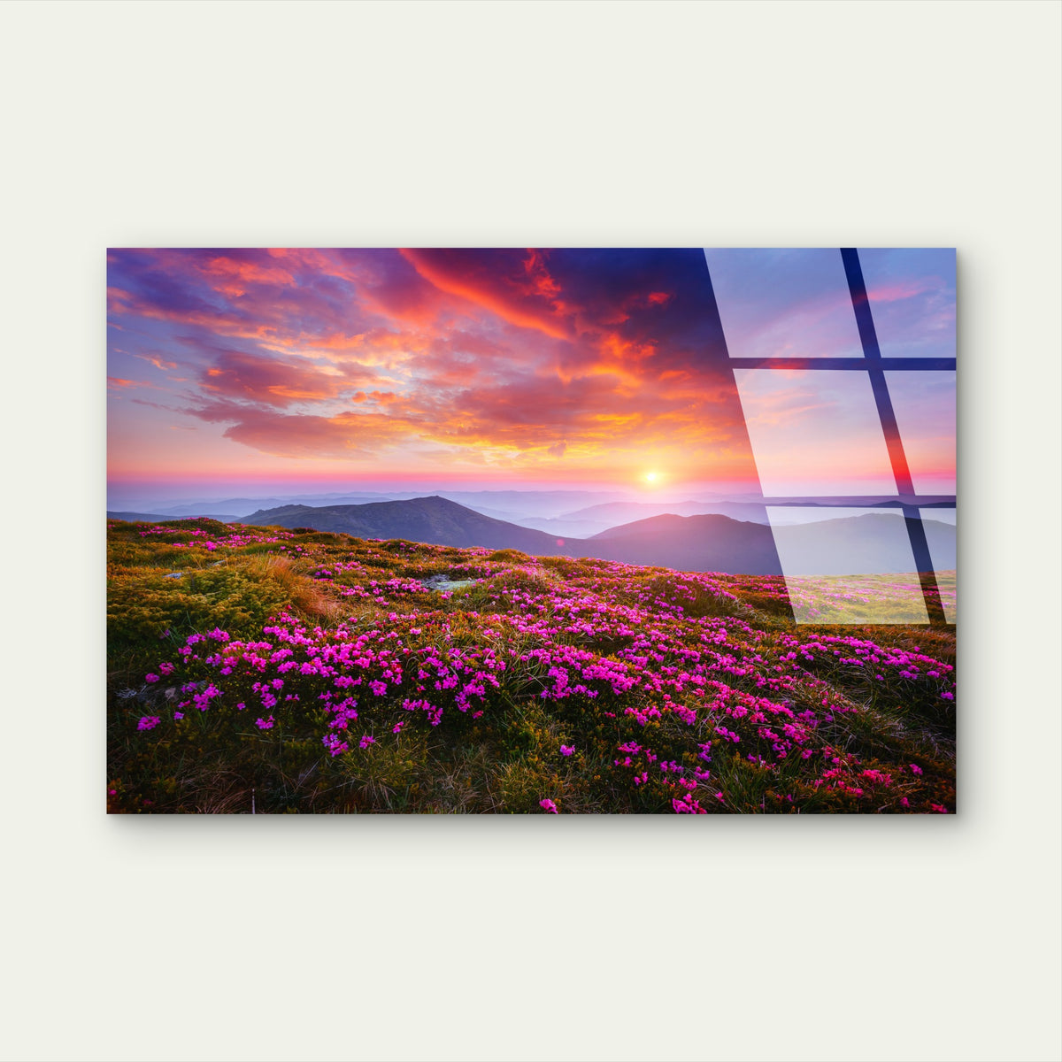 Pink Wildflower Ridge View Glass Printing Wall Art Australian Made Quality
