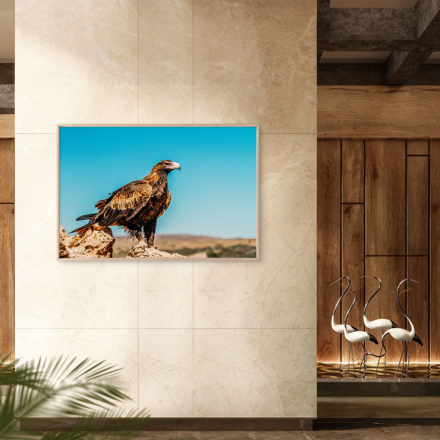 Wedge Tailed Eagle Australia Wall Art Decor 100% Australian Made