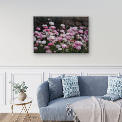 Colourful Australian Paper Daisy Flowers Wall Art Decor 100% Australian Made